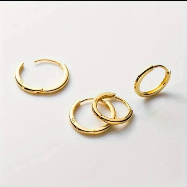 Earrings style No. 304